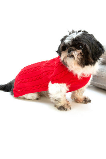 Red Matching Dog Sweater