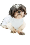 JB Light Blue Matching Dog Sweater