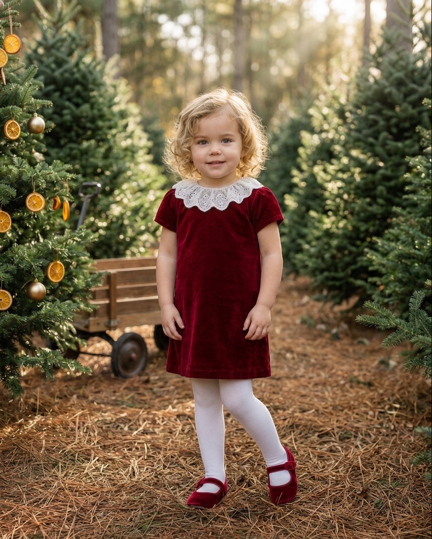 Carriage Boutique toddler wearing a burgundy velvet dress with a white lace collar in a festive outdoor setting.