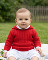Carriage Boutique red cable knit baby sweater with hood worn by a baby sitting on a blanket in a park.