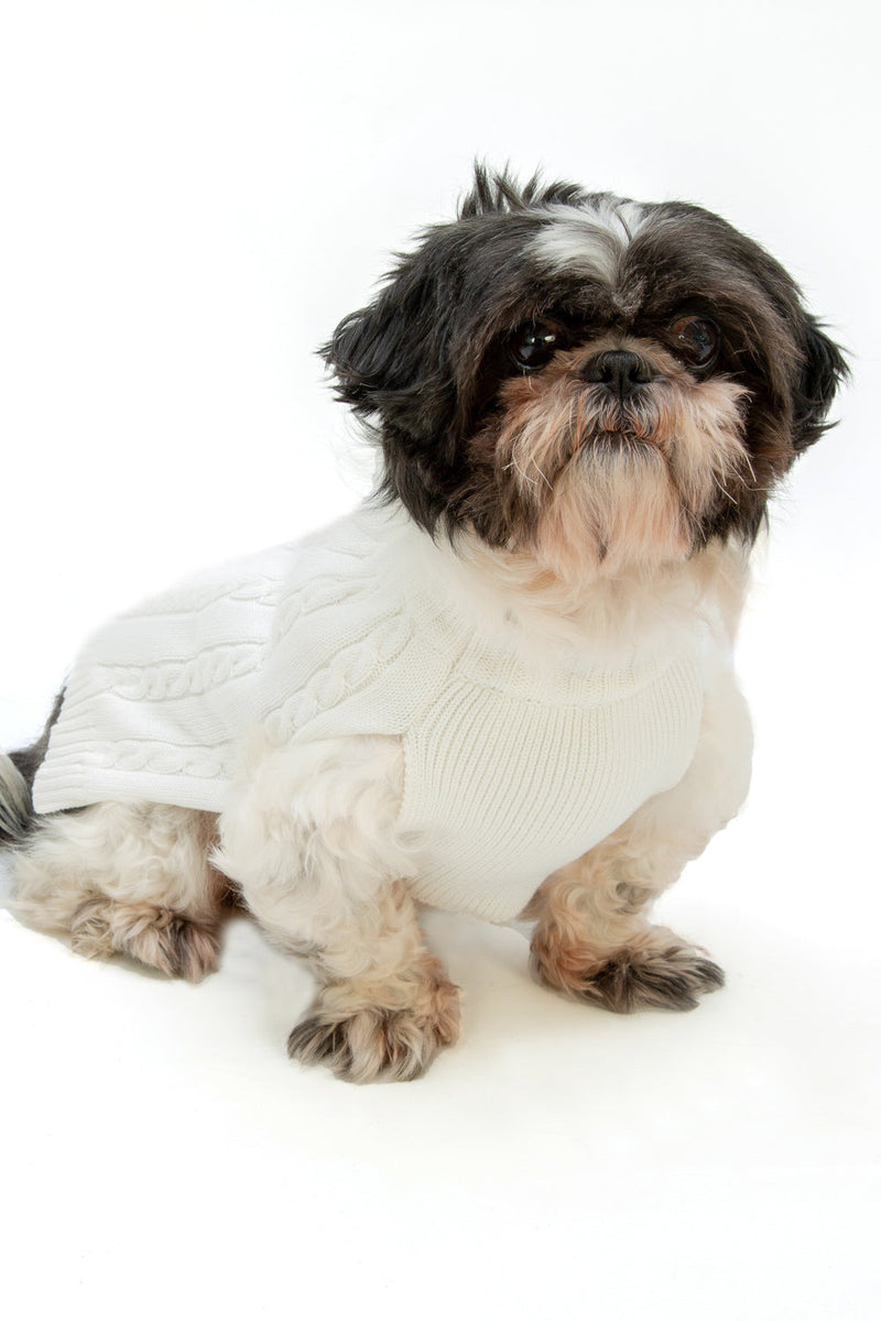 Off White Matching Dog Sweater